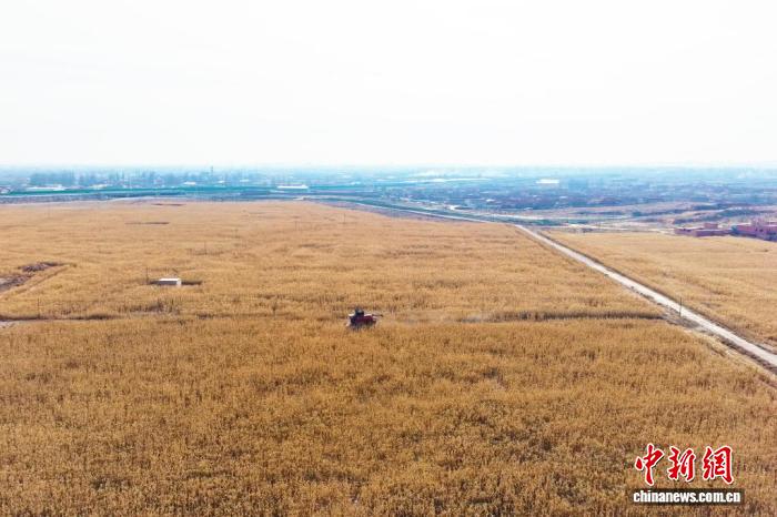 详细阅读:甘肃五年探索6种模式治理22万亩盐碱耕地 甘肃五年探索6种模式治理22万亩盐碱耕地